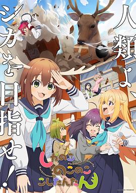 平衡之间